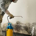 What Makes Professional Biohazard Cleanup Services Different From Regular Cleaning?