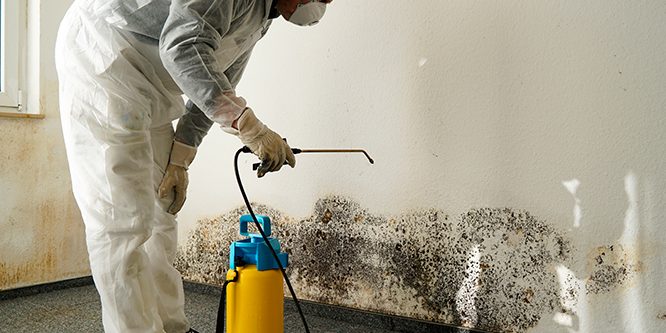 What Makes Professional Biohazard Cleanup Services Different From Regular Cleaning?