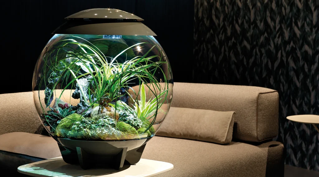 The Unexpected Allure of Indoor Fern Terrariums