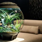 The Unexpected Allure of Indoor Fern Terrariums